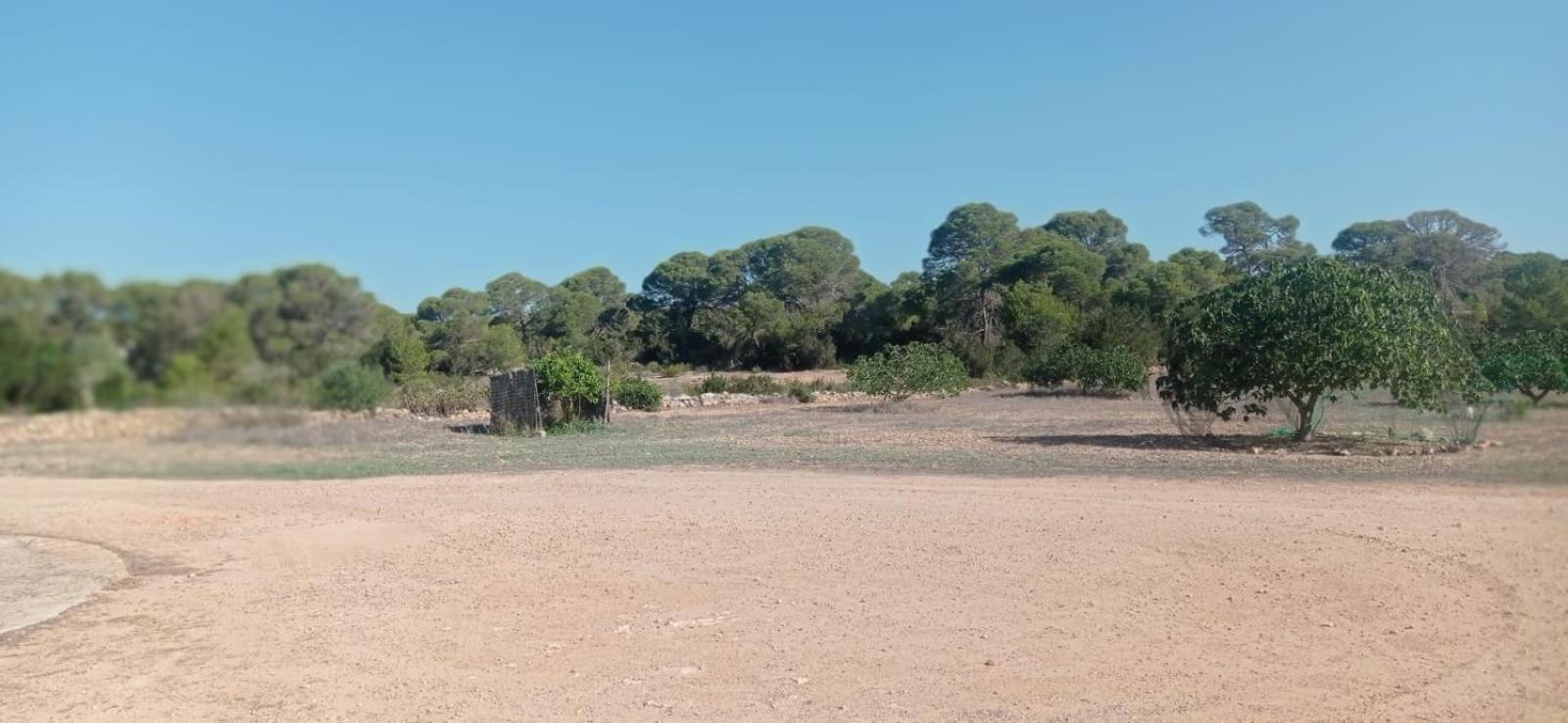 Estudio Cala Saona Buitenkant foto